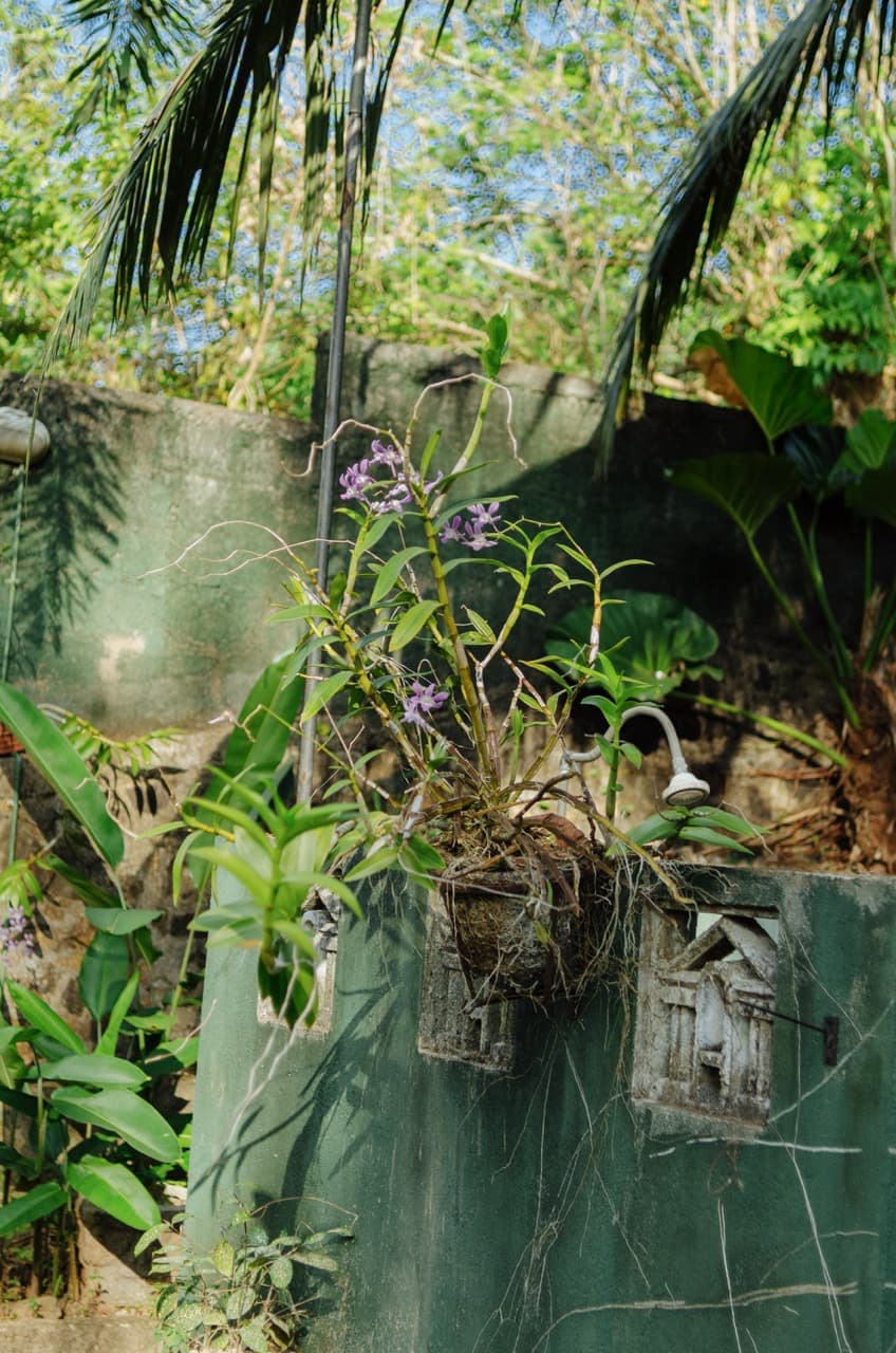 Превью Sri Lanka 2022